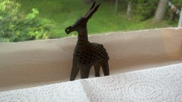 IMG_20140822_183350_601